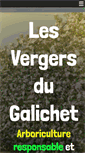 Mobile Screenshot of lesvergersdugalichet.com