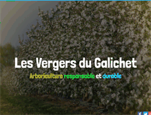 Tablet Screenshot of lesvergersdugalichet.com